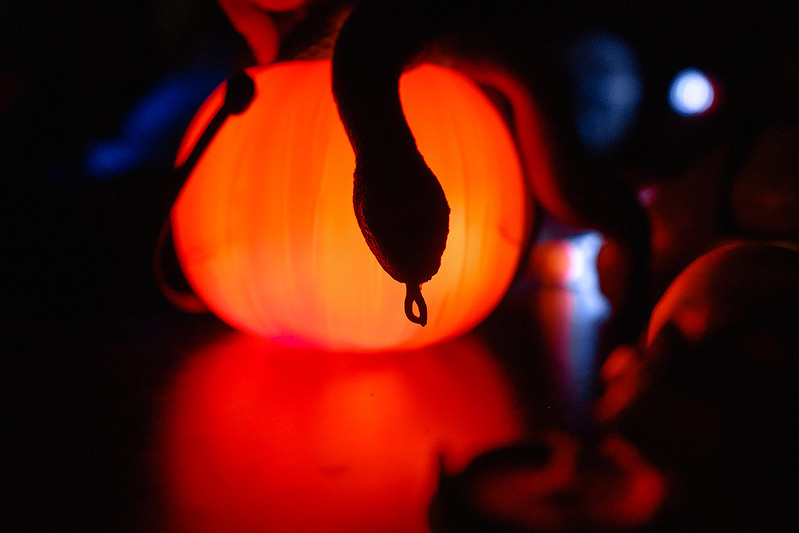 Украшение дома паутиной и летучими мышами к Хэллоуину в Minsk